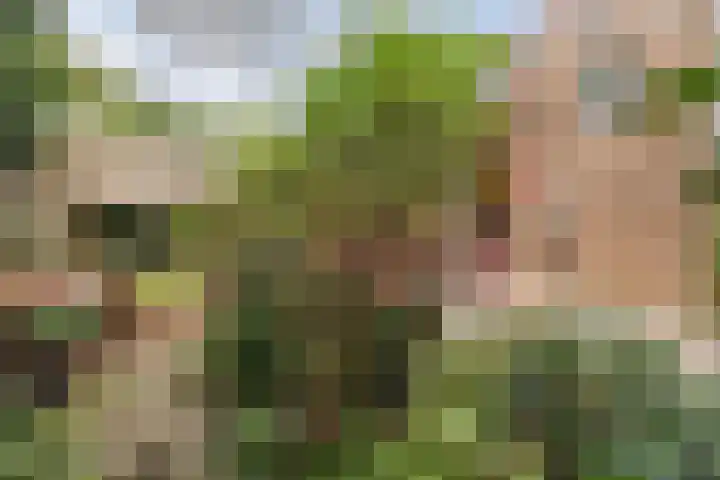 Eland 35 Huizen thumbnail 28