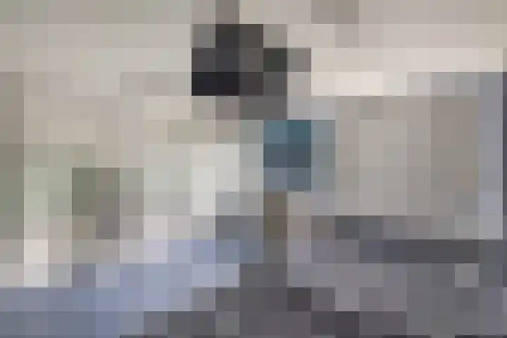 Eland 35 Huizen thumbnail 32