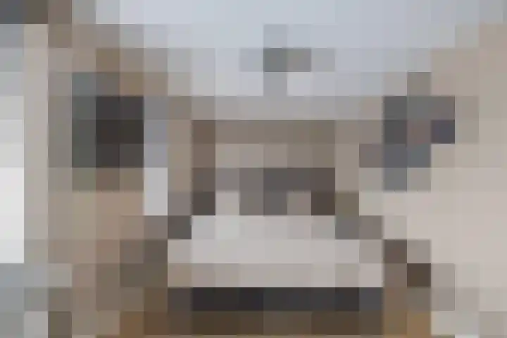Eland 37 Huizen thumbnail 14