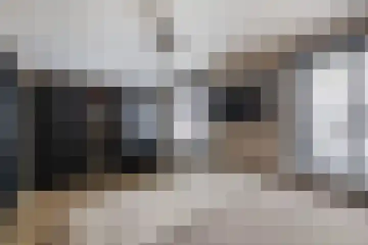 Eland 37 Huizen thumbnail 15