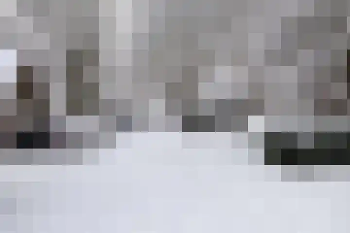 Eland 37 Huizen thumbnail 30