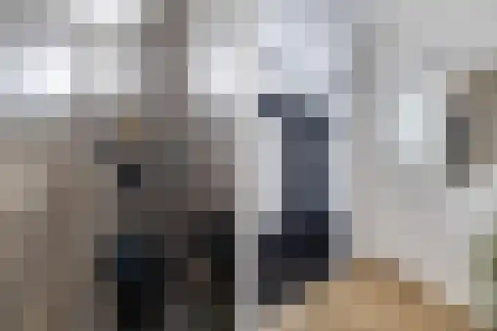 Eland 37 Huizen thumbnail 4