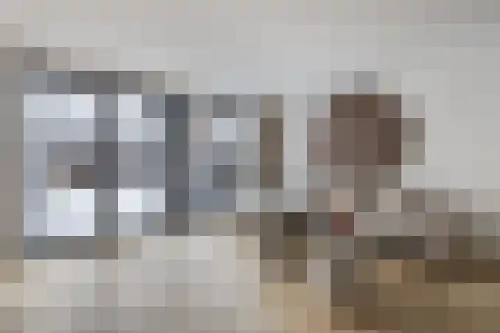 Eland 37 Huizen thumbnail 7