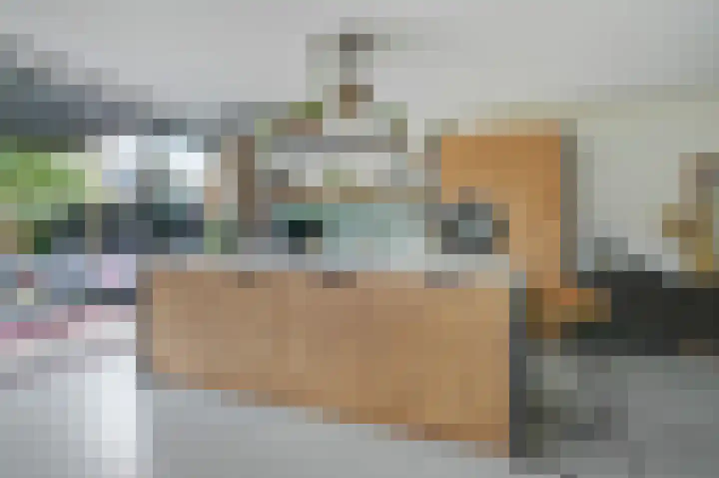 Eland 58 Huizen thumbnail 10