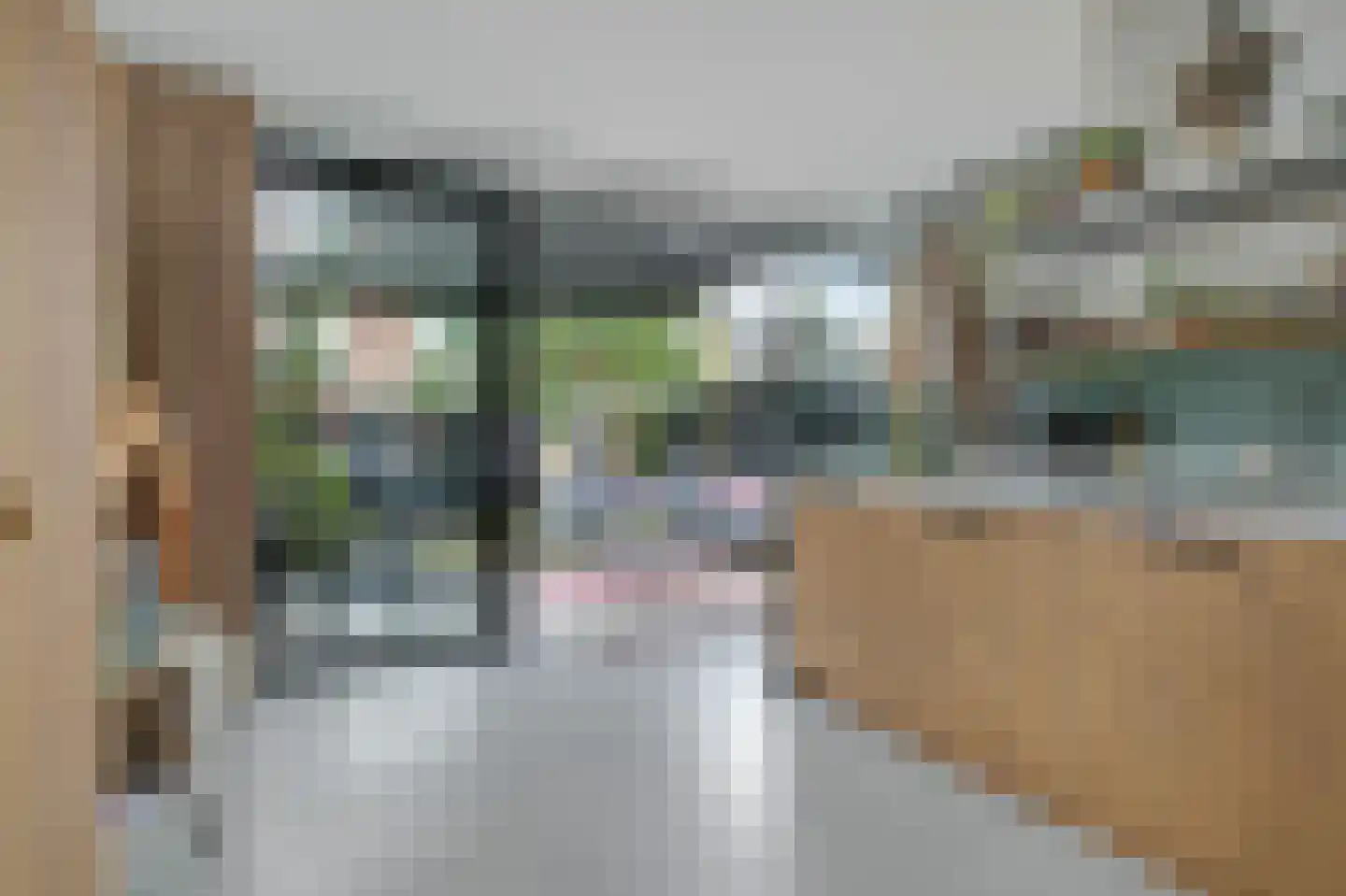 Eland 58 Huizen thumbnail 11