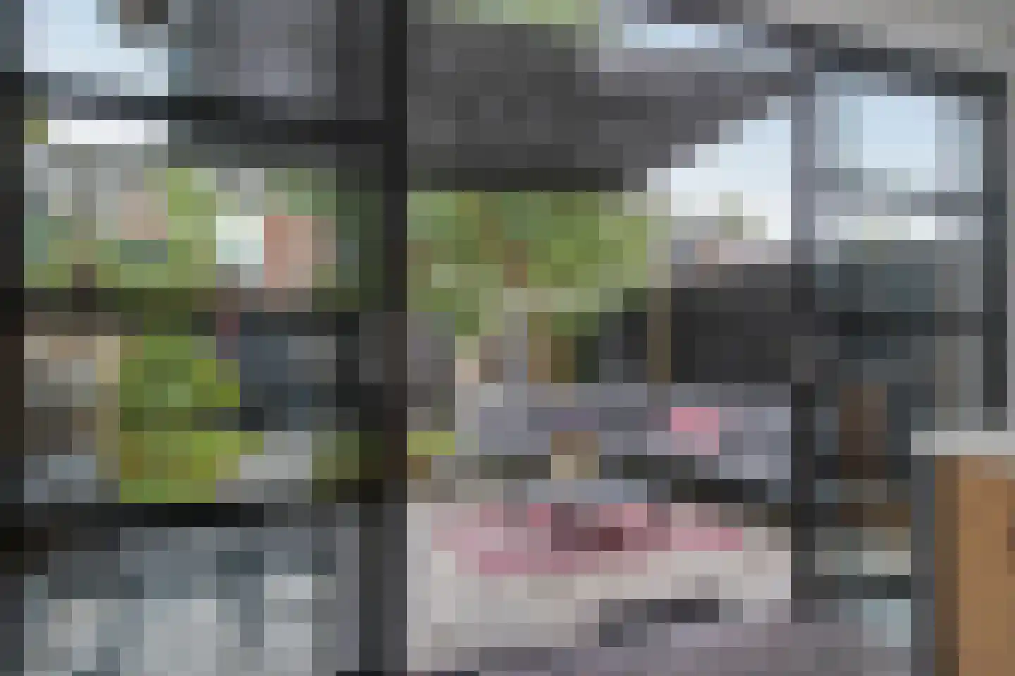 Eland 58 Huizen thumbnail 12