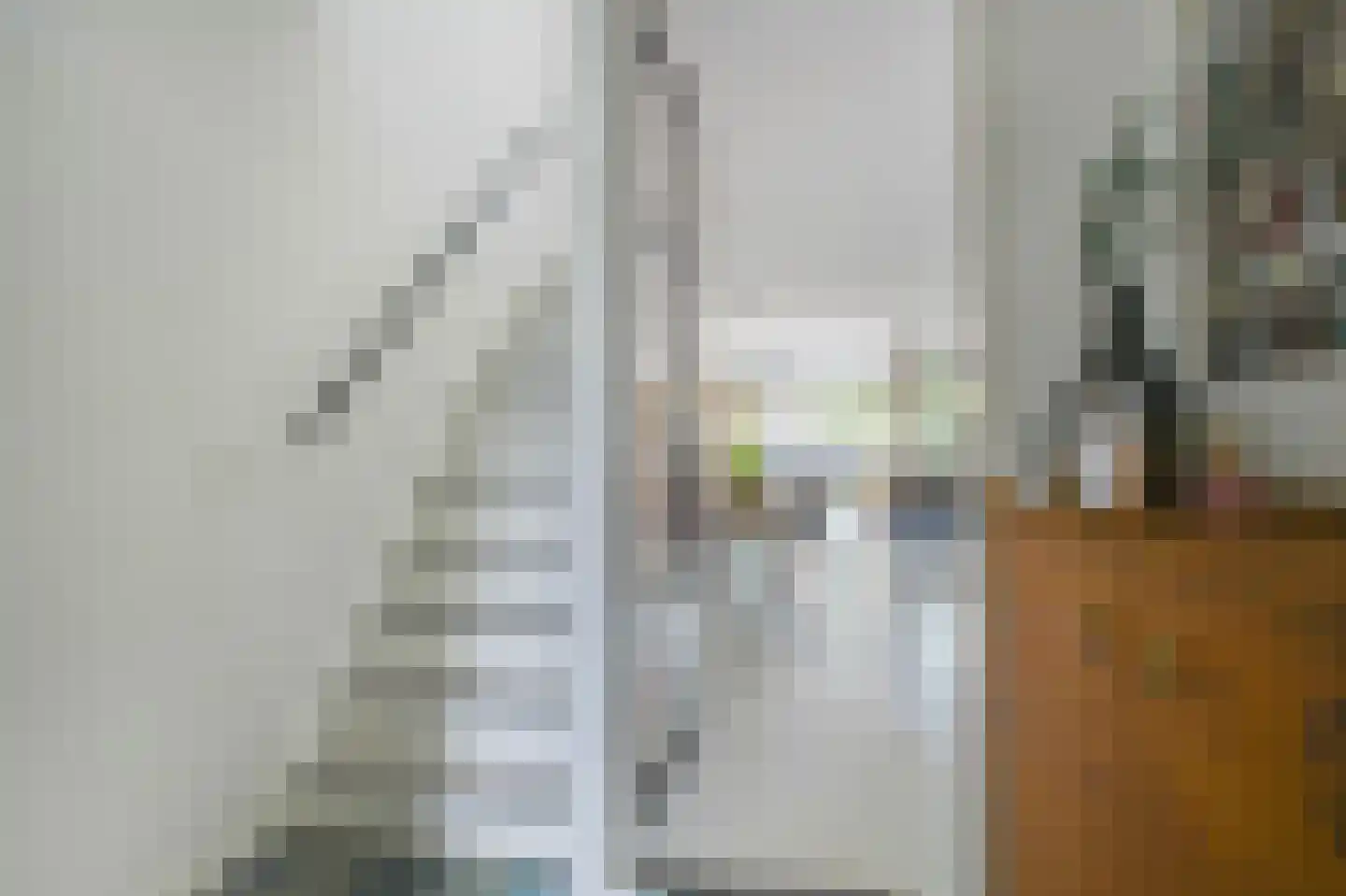 Eland 58 Huizen thumbnail 16