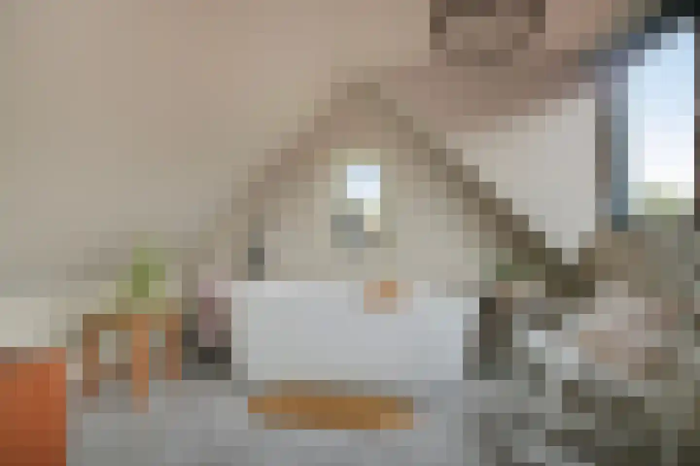 Eland 58 Huizen thumbnail 29