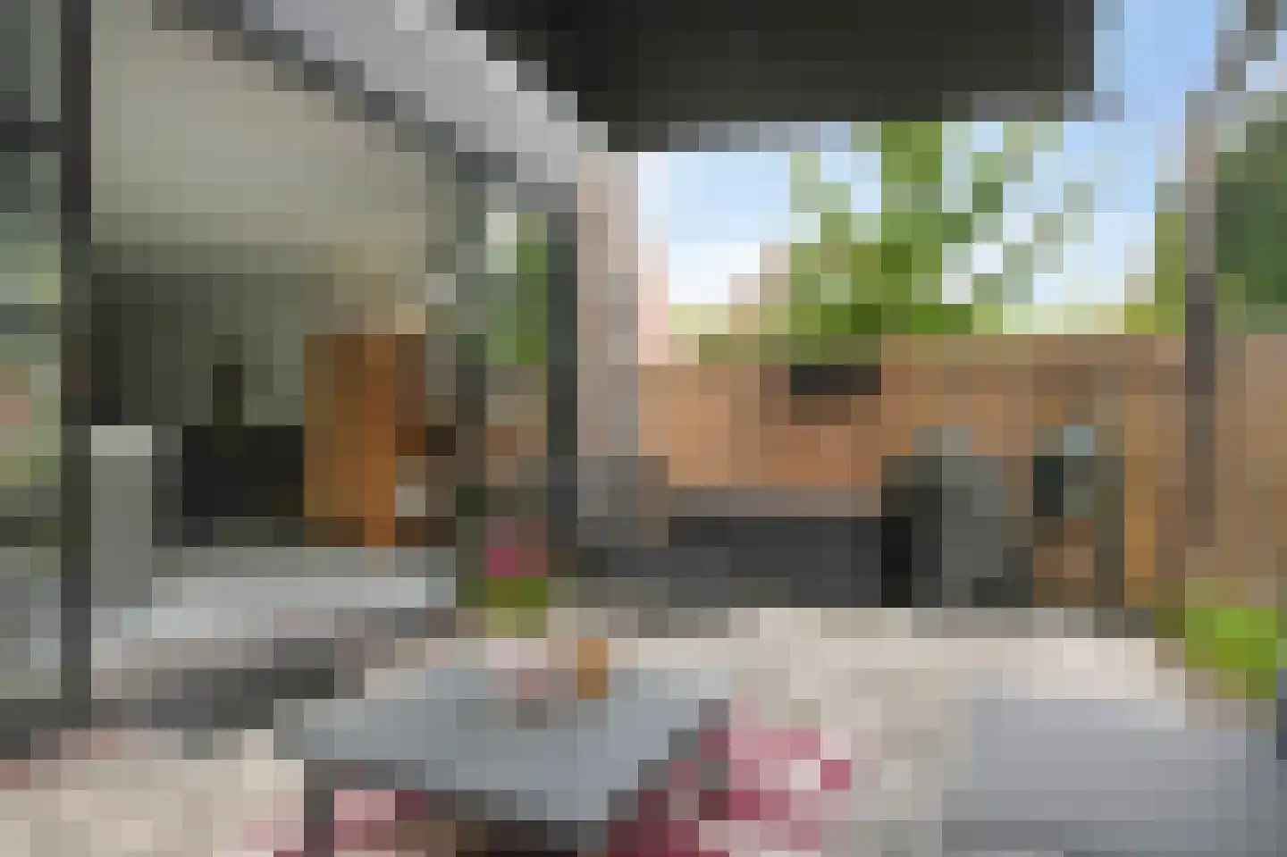 Eland 58 Huizen thumbnail 31