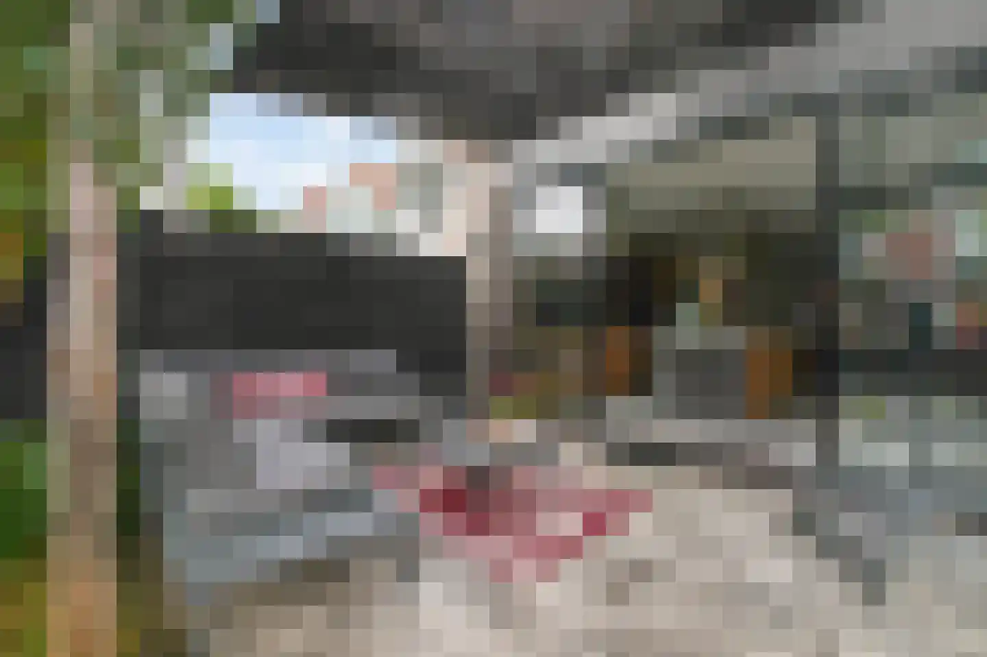 Eland 58 Huizen thumbnail 32