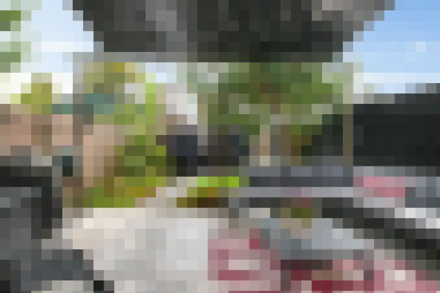 Eland 58 Huizen thumbnail 33