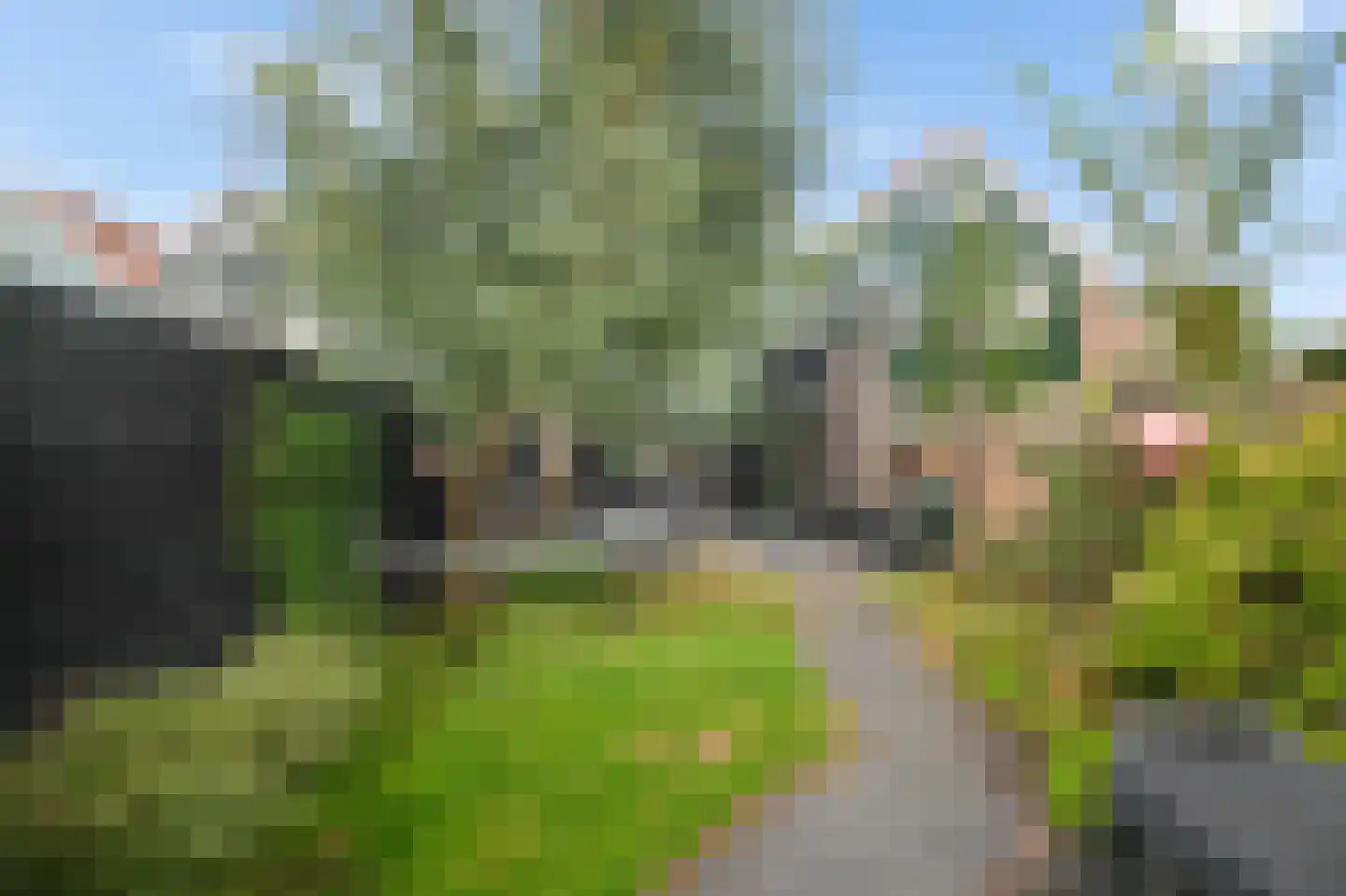 Eland 58 Huizen thumbnail 36
