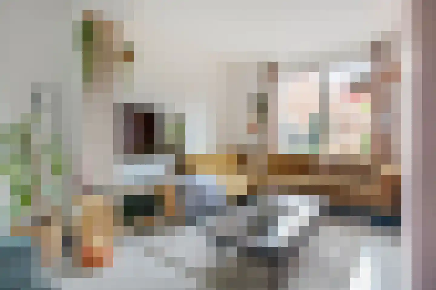 Eland 58 Huizen thumbnail 4
