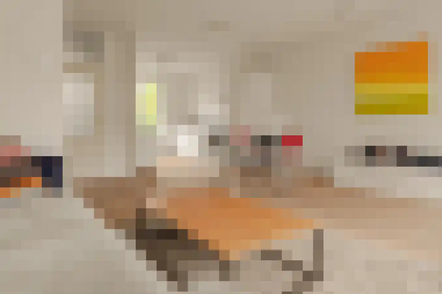 Eland 60 Huizen thumbnail 13