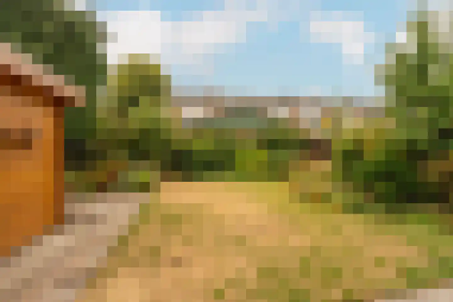 Eland 60 Huizen thumbnail 19