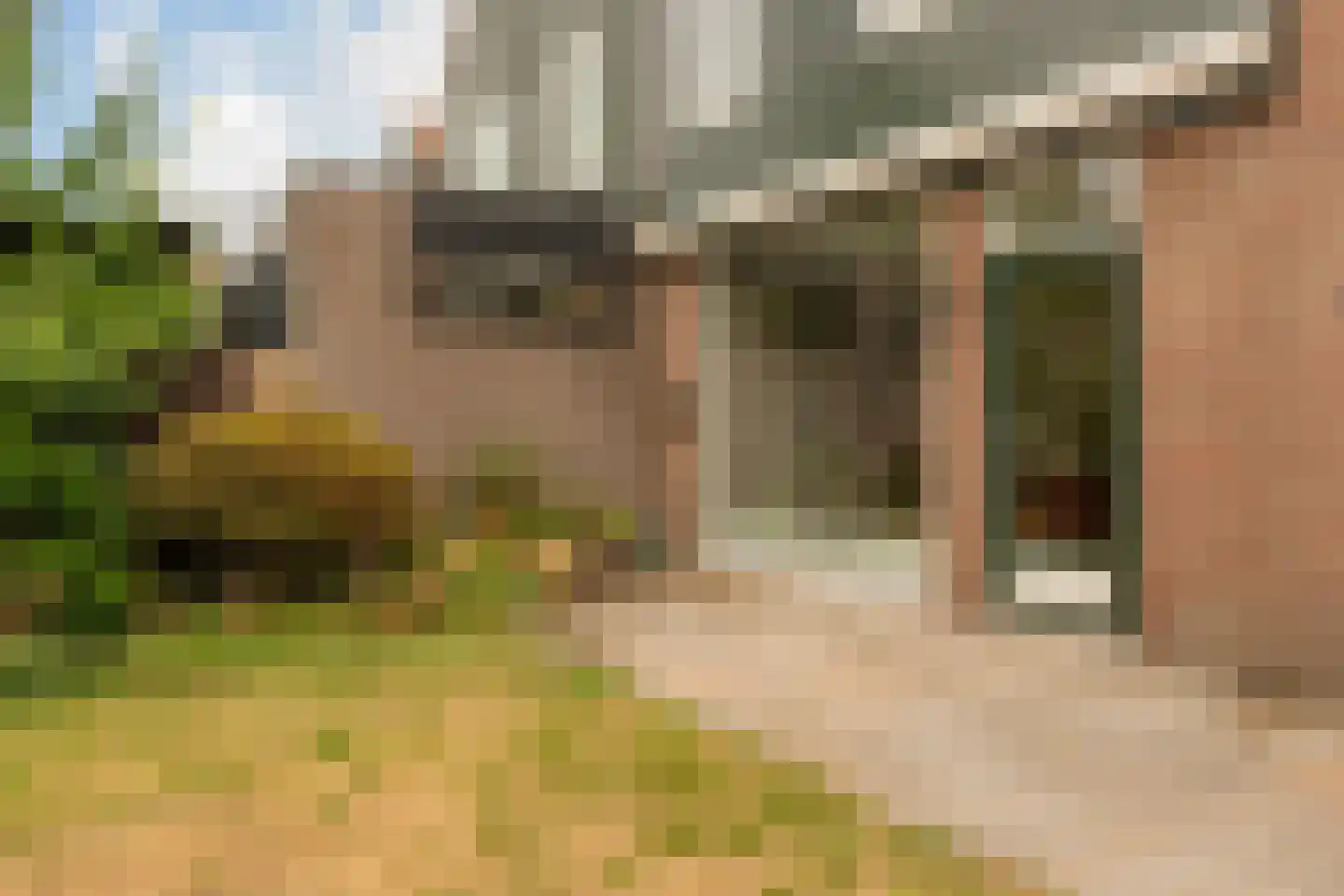 Eland 60 Huizen thumbnail 22