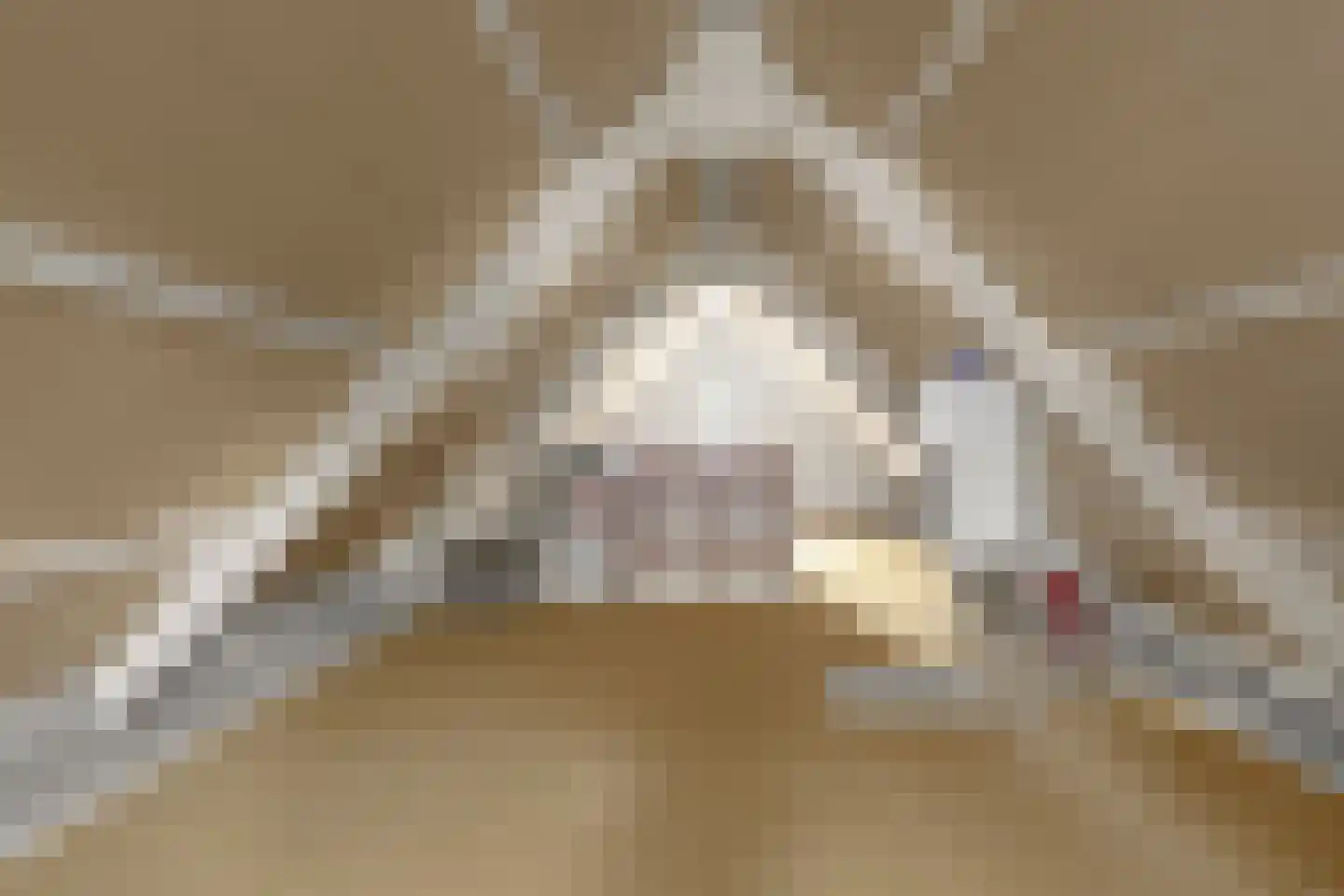 Eland 60 Huizen thumbnail 33