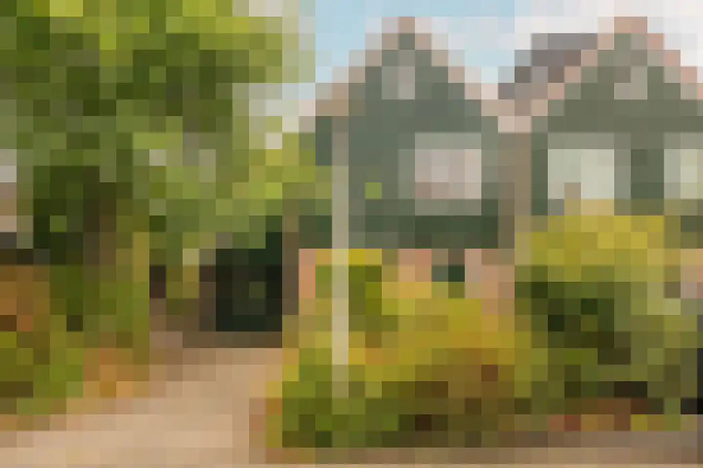 Eland 60 Huizen thumbnail 4