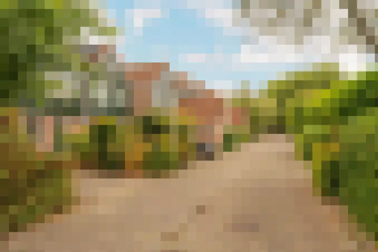Eland 60 Huizen thumbnail 6