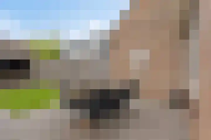 Elandberg 10 Roosendaal thumbnail 21