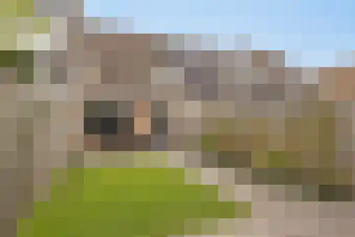 Elandberg 10 Roosendaal thumbnail 24