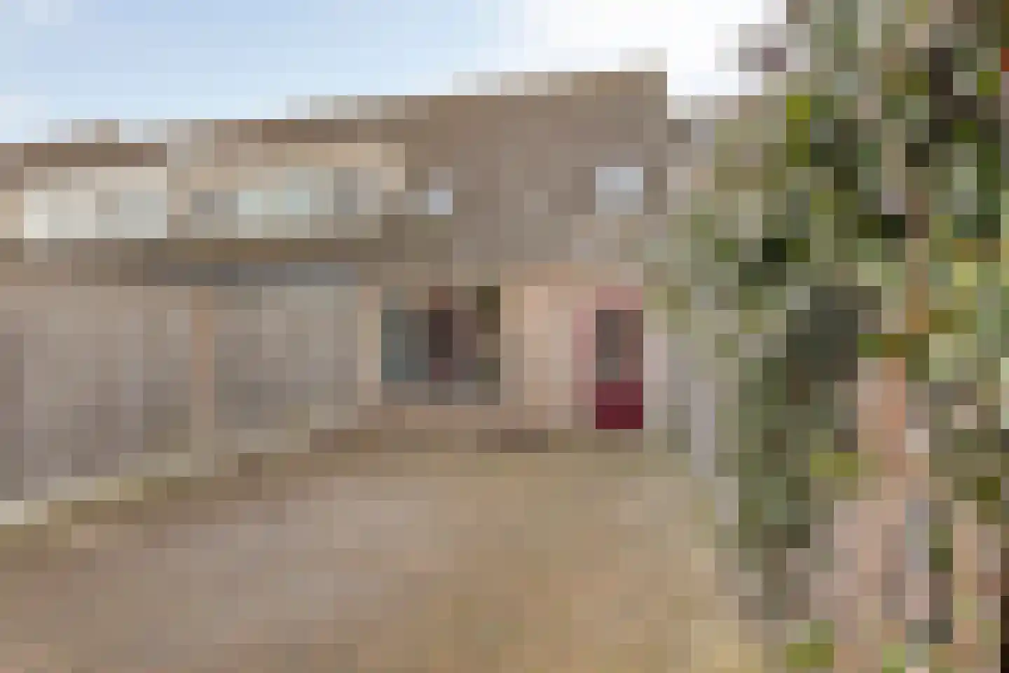 Elandberg 13 Roosendaal thumbnail 4