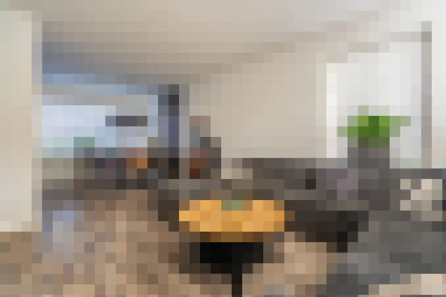 Elandhof 20 Winschoten thumbnail 16