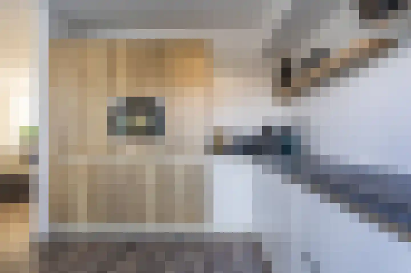 Elandhof 20 Winschoten thumbnail 22
