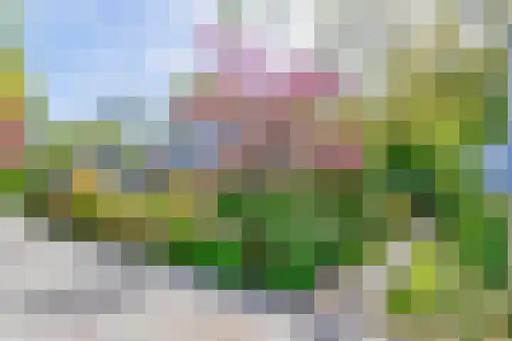 Elandhof 55 Winschoten thumbnail 4