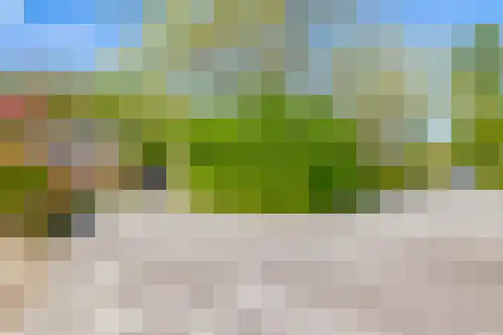Elandhof 55 Winschoten thumbnail 8