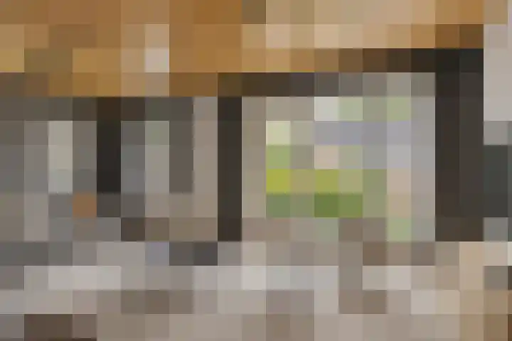 Elandhof 70 Winschoten thumbnail 15