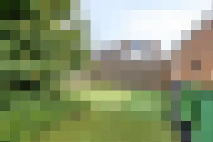 Elandhof 70 Winschoten thumbnail 38