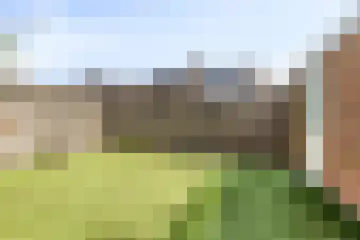 Elandhof 70 Winschoten thumbnail 39