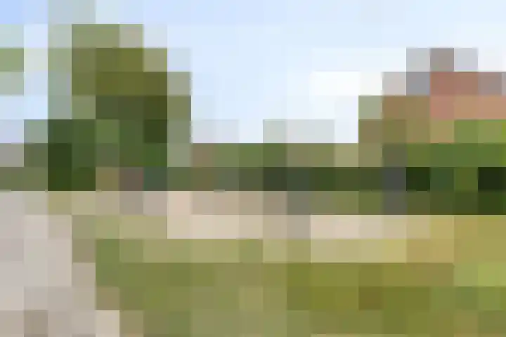 Elandhof 70 Winschoten thumbnail 40