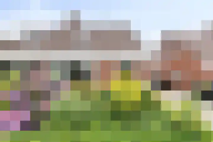 Elandhof 70 Winschoten thumbnail 41