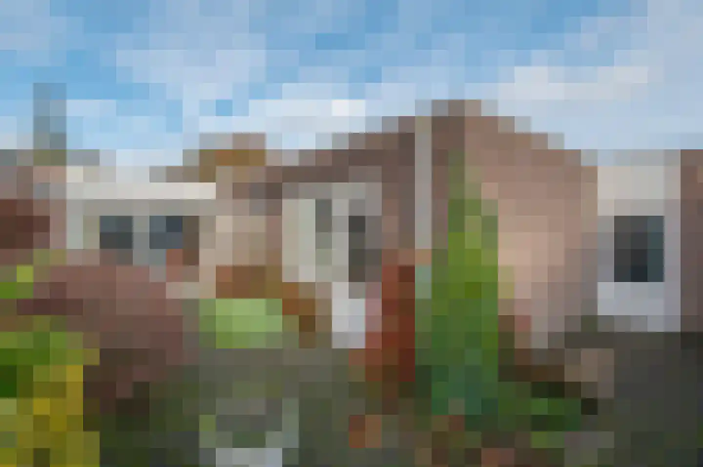 Elandlaan 1 b Waalre thumbnail 17