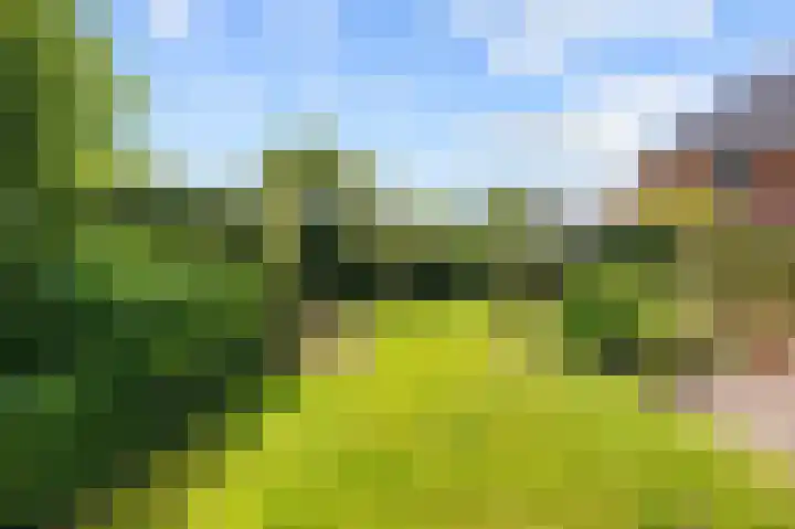 Elandlaan 16 Assen thumbnail 67