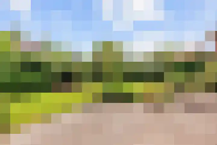Elandlaan 16 Assen thumbnail 69