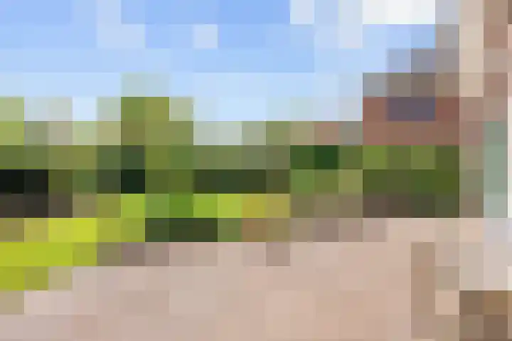 Elandlaan 16 Assen thumbnail 70
