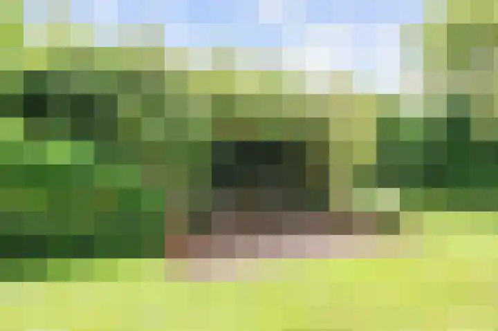 Elandlaan 16 Assen thumbnail 71