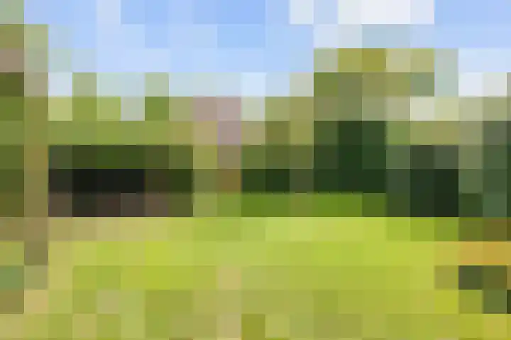 Elandlaan 16 Assen thumbnail 72