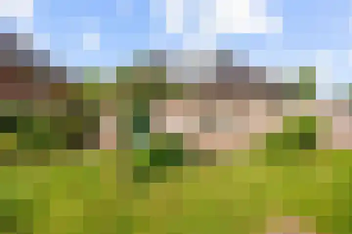 Elandlaan 16 Assen thumbnail 74