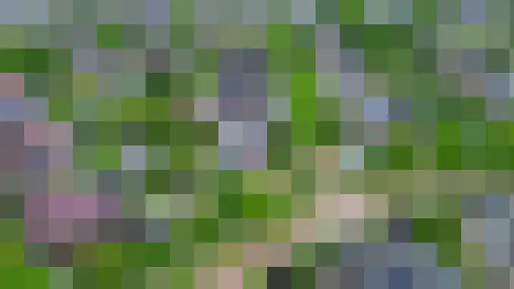 Elandlaan 16 Assen thumbnail 75