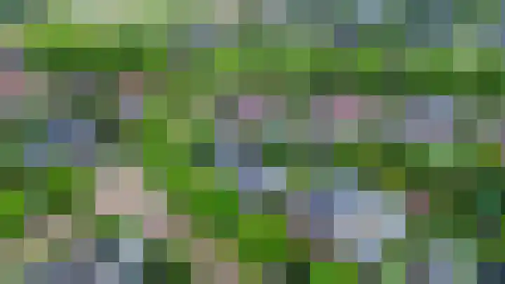 Elandlaan 16 Assen thumbnail 79
