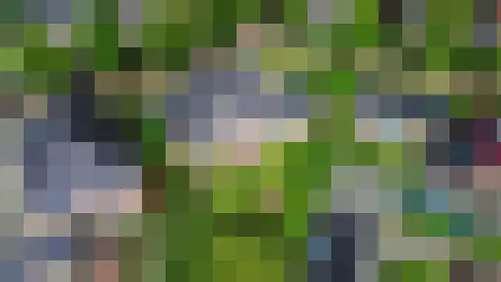 Elandlaan 16 Assen thumbnail 80