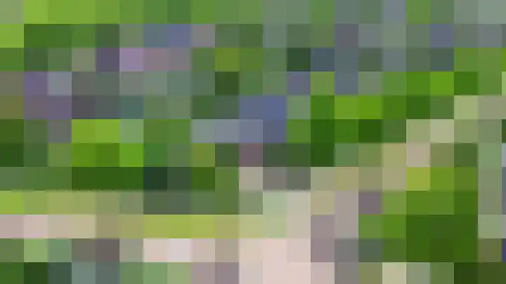 Elandlaan 16 Assen thumbnail 82