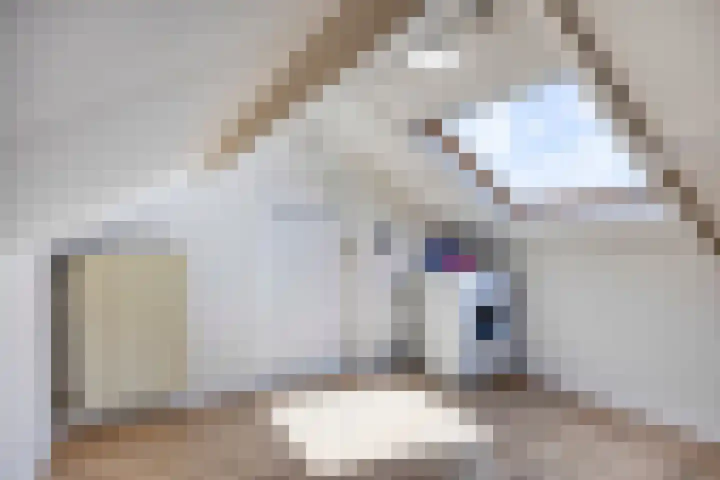 Elandlaan 19 Waalre thumbnail 27