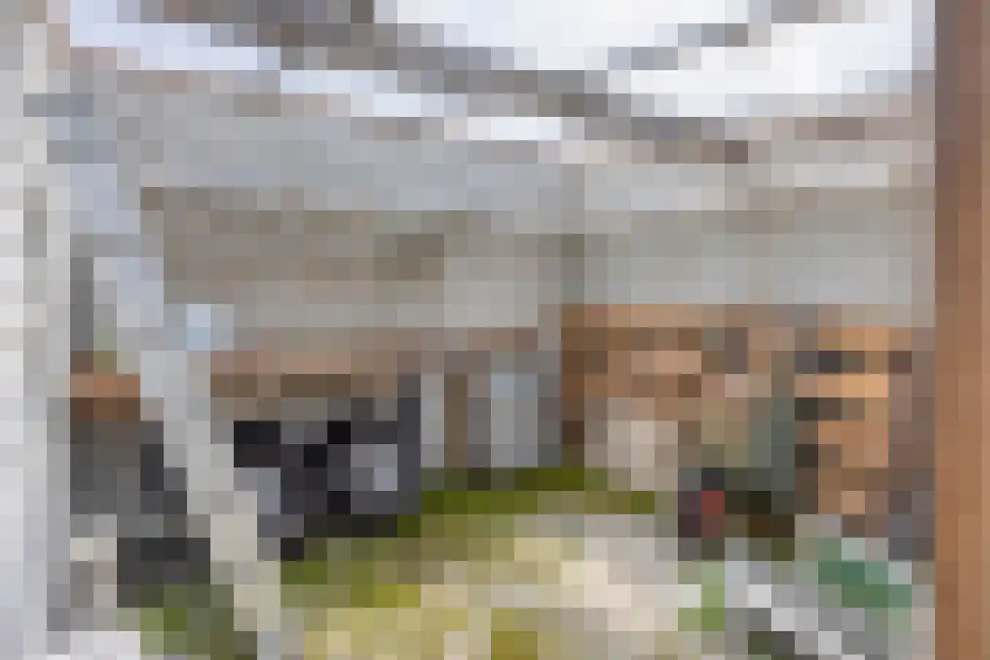 Elandlaan 19 Waalre thumbnail 35