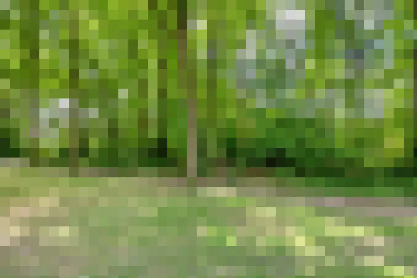 Elandlaan 19 Waalre thumbnail 37