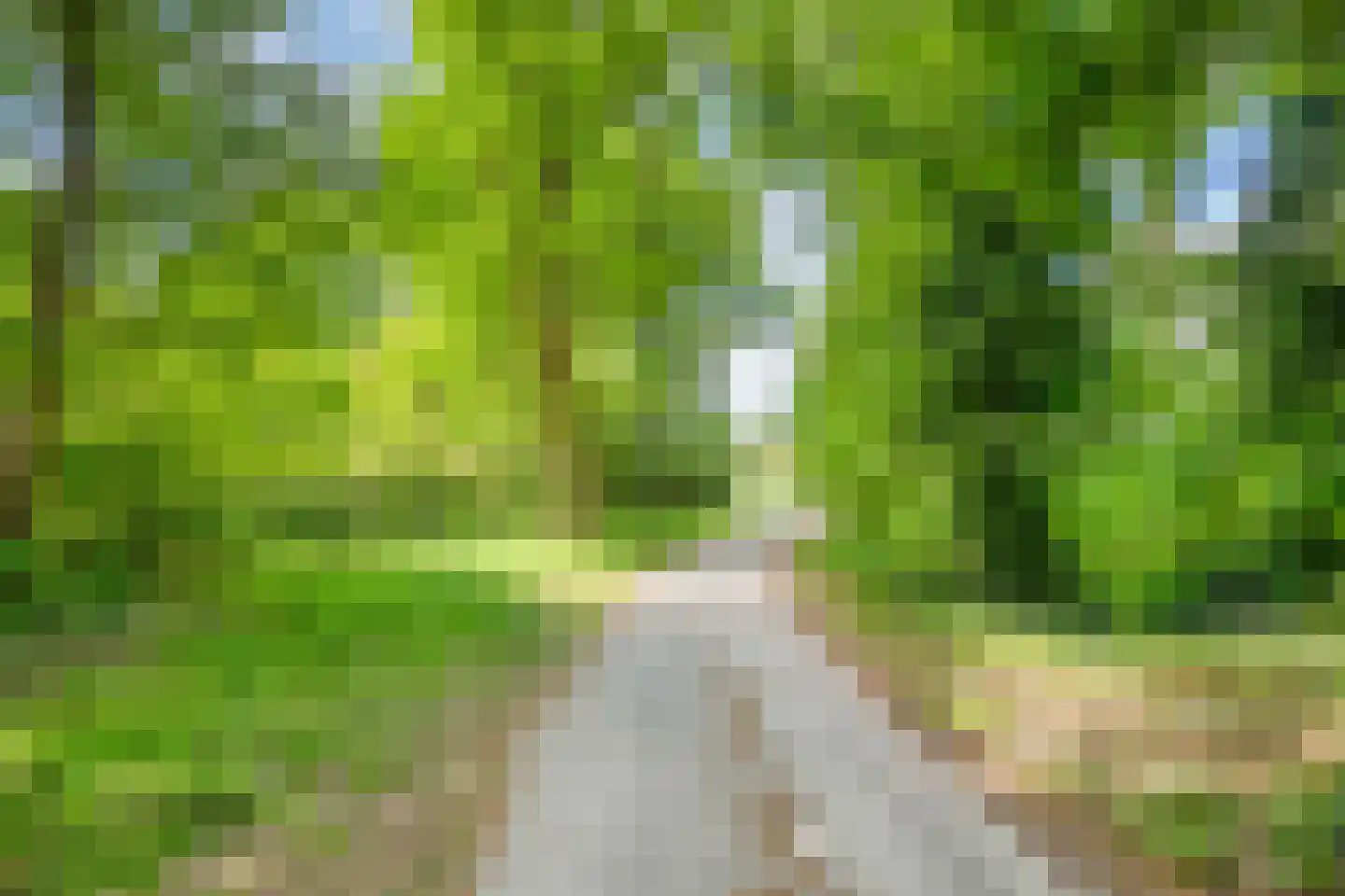Elandlaan 19 Waalre thumbnail 38